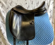 17" Amerigo Vega Dressage