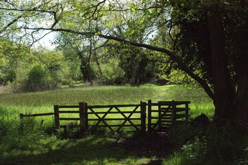 Photo 6x4 newbourne springs - photo,