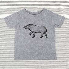 Tapir zoo animal - Baby