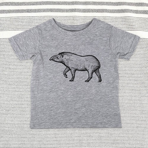 Tapir zoo animal baby - zoo,