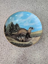 Collectors Plate Black Footed