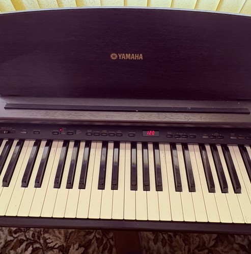 Yamaha digital piano - digital, ydp-101