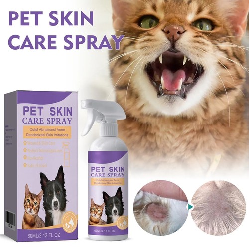 Antibiotics dog cat skin - dog,