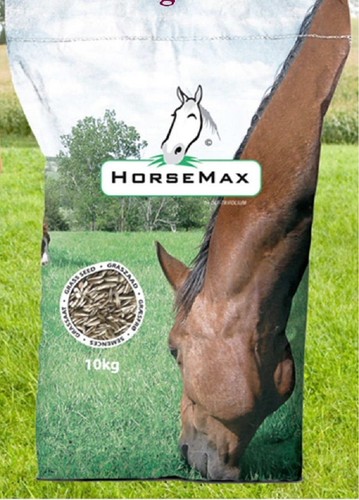 Horsemax horse pony paddock - pony,