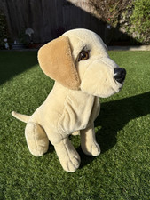 Golden Retriever Labrador