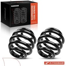 2Pcs Rear Coil Springs for