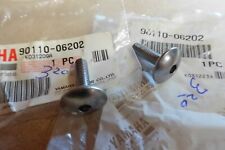 YAMAHA WR125 XJ6 XT660Z XV1900 FJ1200 GTS1000 NOS COWLING SCREWS - # 90110-06202