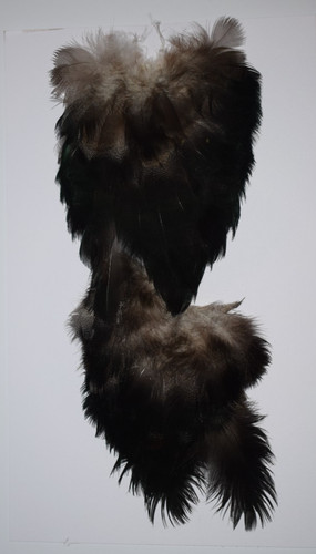 Drake mallard rump capes - rump,
