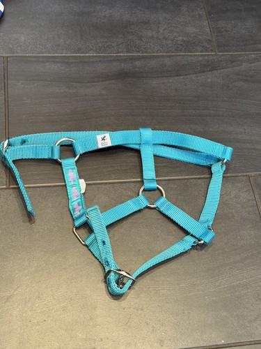 Derby house pony headcollar - house,