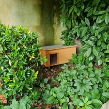 Self heating cat house - cat,