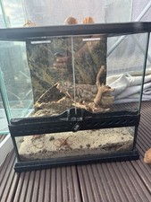 Exo Terra Glass Terrarium – 30×30×30 cm