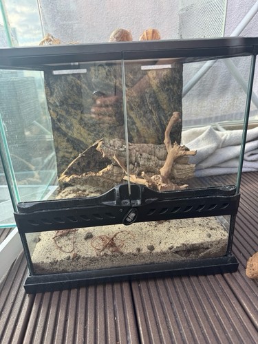 Exo terra glass terrarium - terrarium, –