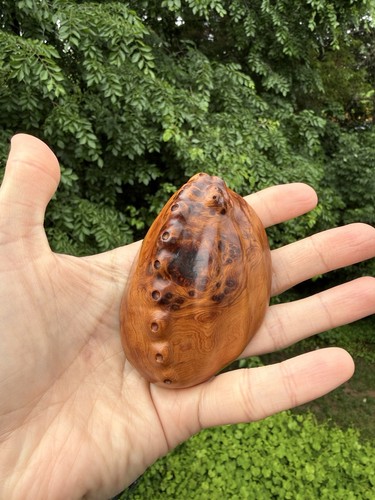 Hand carved abalone - carved,