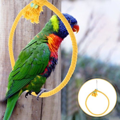 Parrot rope swing - rope,