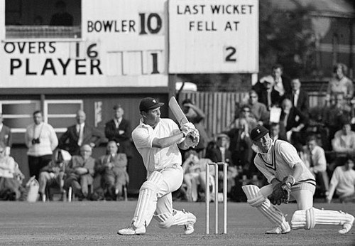 Old large cricket photo - old,