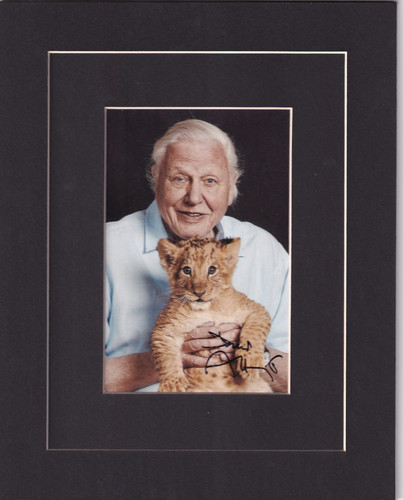 Sir david attenborough signed - david,