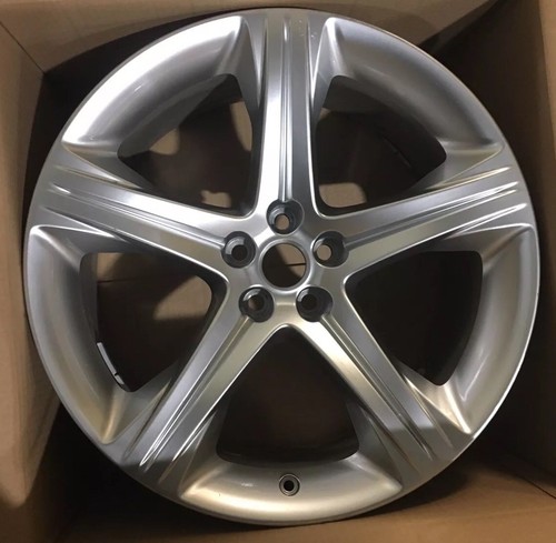 Genuine jaguar 5 takoba - genuine,