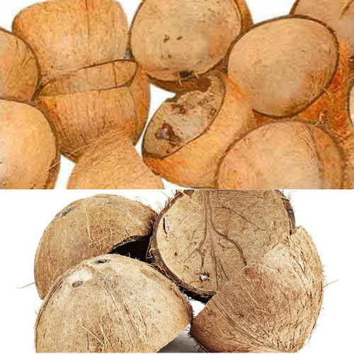 Coconut shell halves charcoal - coconut,