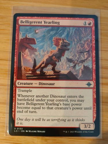 Mtg belligerent yearling 0133 - yearling,