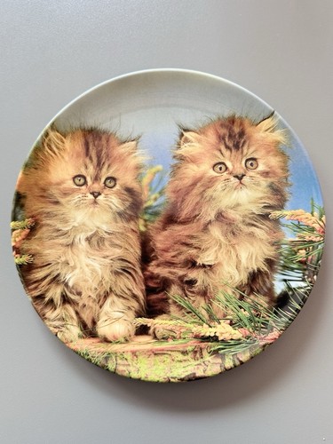 Royal doulton kittens plate - doulton,