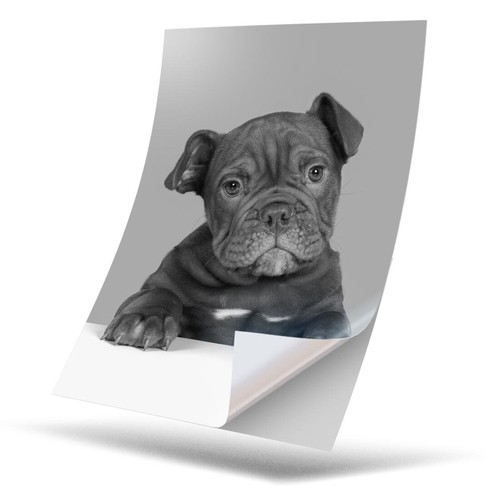 Vinyl sticker bw - 1,