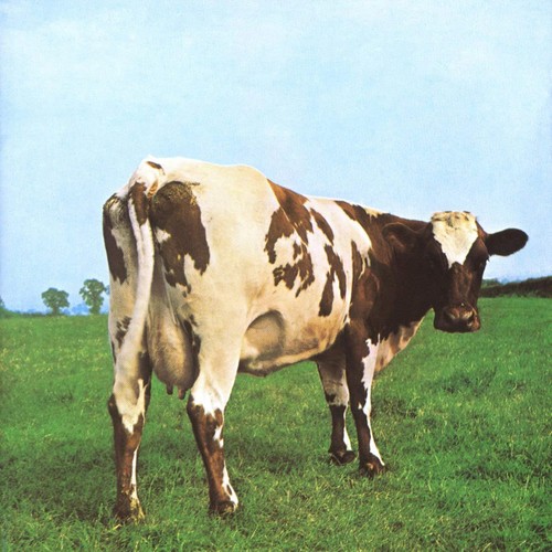 Pink floyd atom heart mother - floyd,
