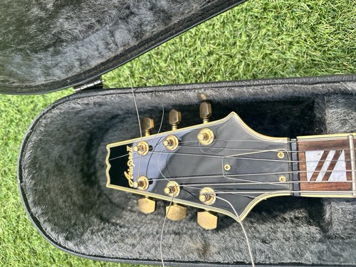 Aria pro hollow - aria,