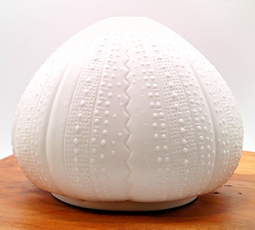 Vintage porcelain sea - vintage, urchin