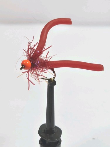 Red squirmy worms fly - x,