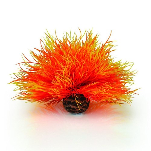 Biorb oase flame - oase,