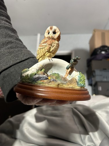 Border fine arts tawny owl - border,