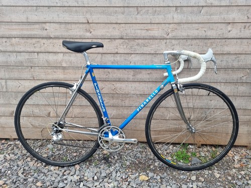 Pinarello treviso road bike