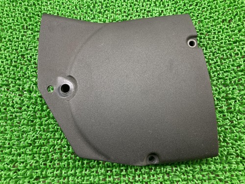 Xl1200cx engine cover - xl1200cx,