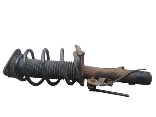 Ford focus strut shock - ford,