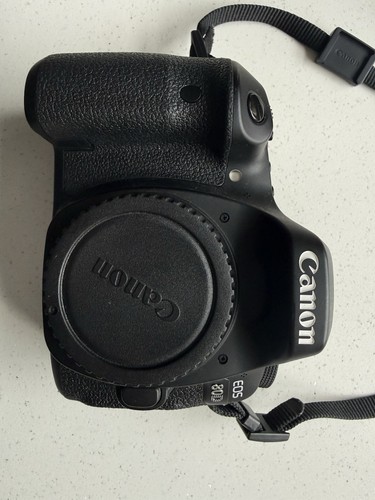 Canon eos 80d - 80d, 24.2mp