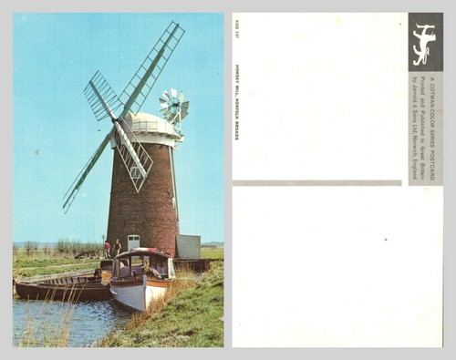 Vintage postcard horsey - postcard,