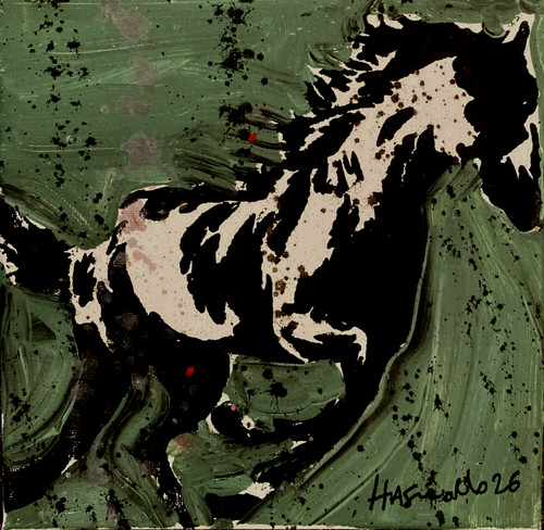 Hasworld acrylic oil - &,