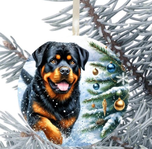 Rottweiler dog hanging - rottweiler,