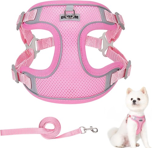 Dog harness and lead - dog, set