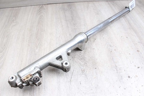 Fork stanchion left - , honda