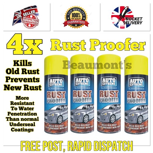 Big can professional - “big,