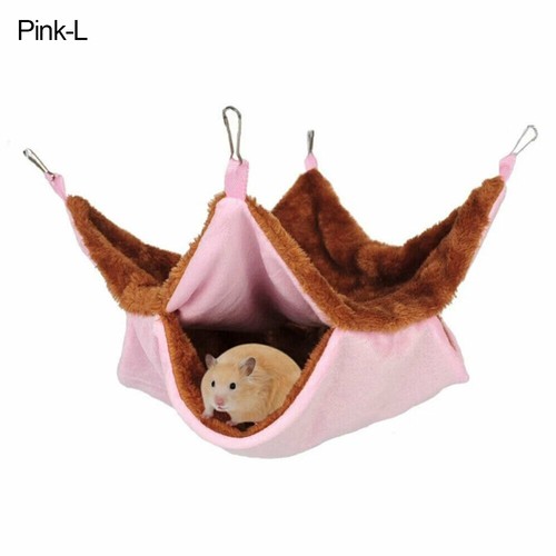 Ferret rat squirrel pet - squirrel,