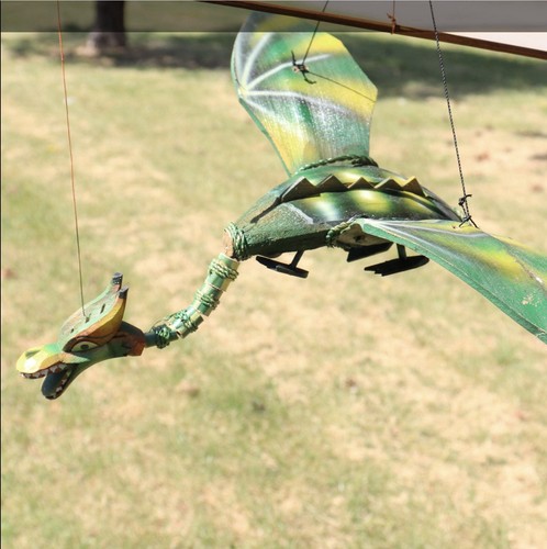 Dragon green coconut - dragon, hanging