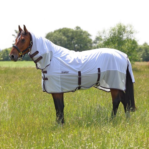 Shires tempest original fly - tempest,