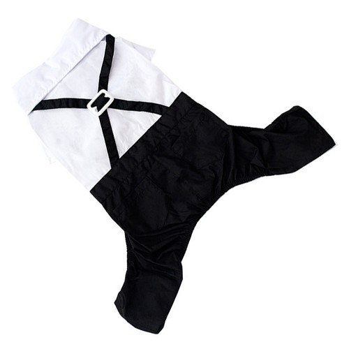 Pet formal wear fashion - formal,