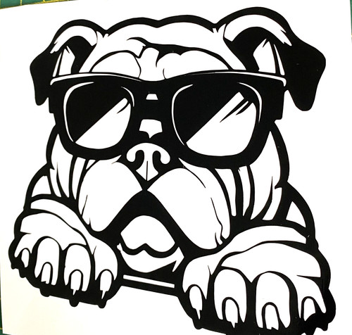 English bulldog dog - 1x,