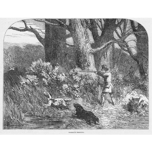 Woodcock shooting victorian - woodcock, shooting,