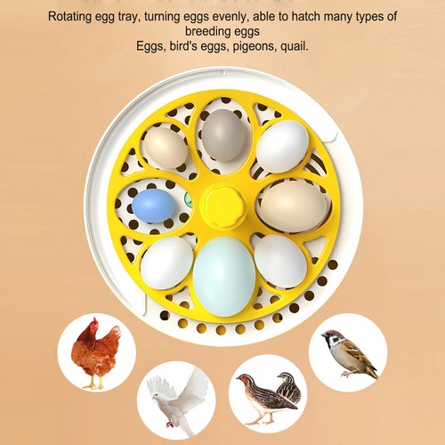 Poultry hatching machine - poultry,