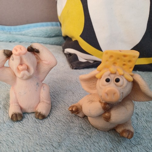 Pig piggin cheesed off - pig,