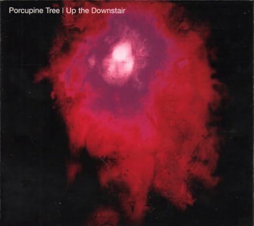 Porcupine tree up the - tree,